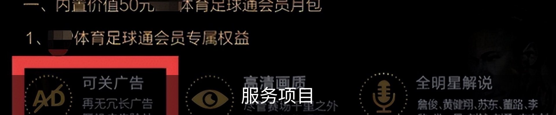 服务项目